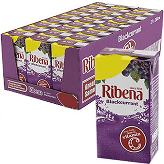 Ribena Blackcurrant (TET)-24x250ml02